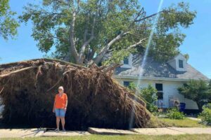 uprooted tree grass from 2020 derecho in cedar rapids