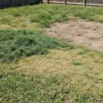 Think Before Seeding